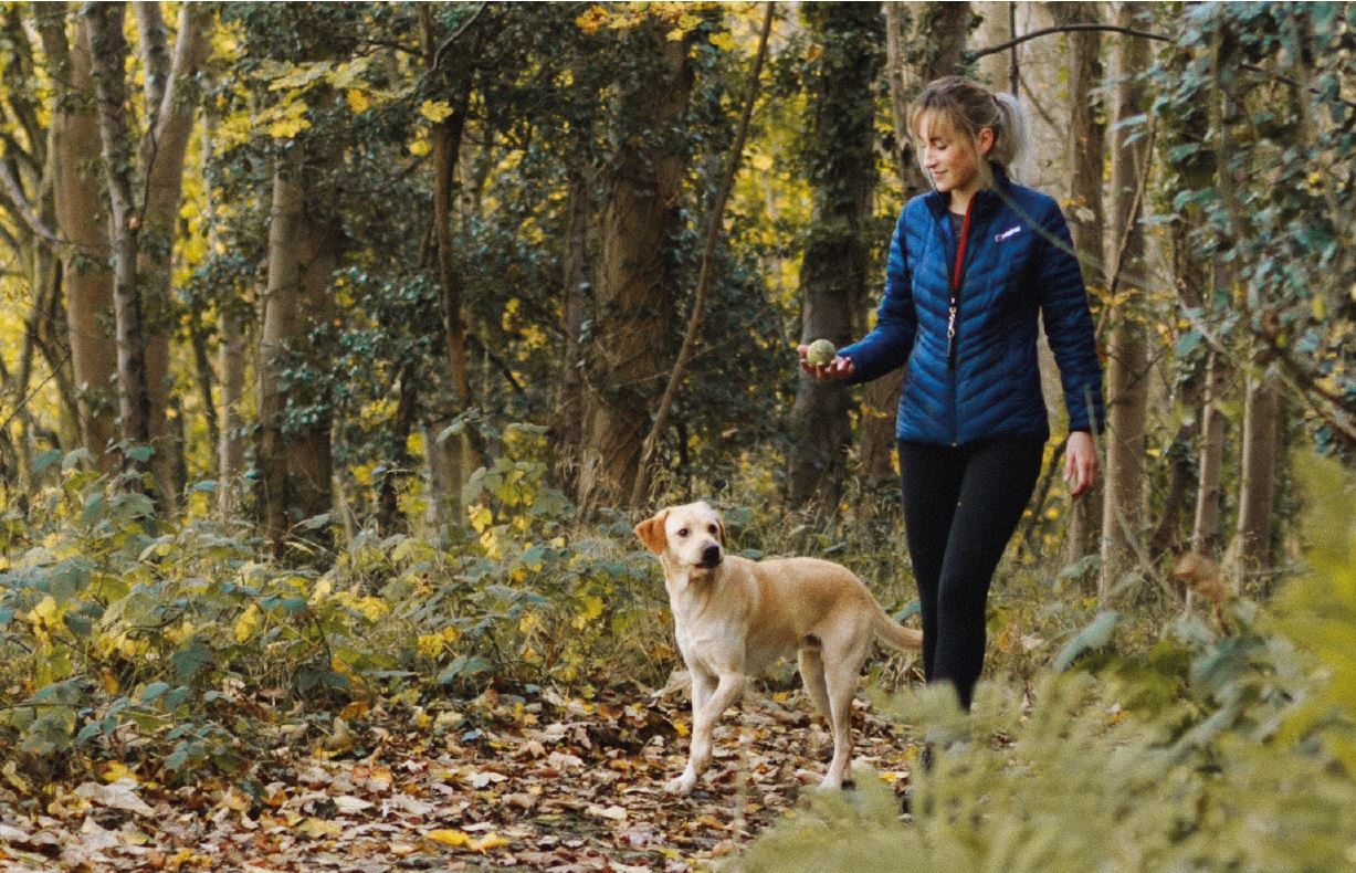 Randonnée avec son chien