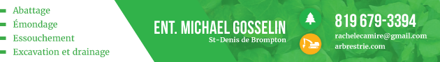 Entreprise Michael Gosselin